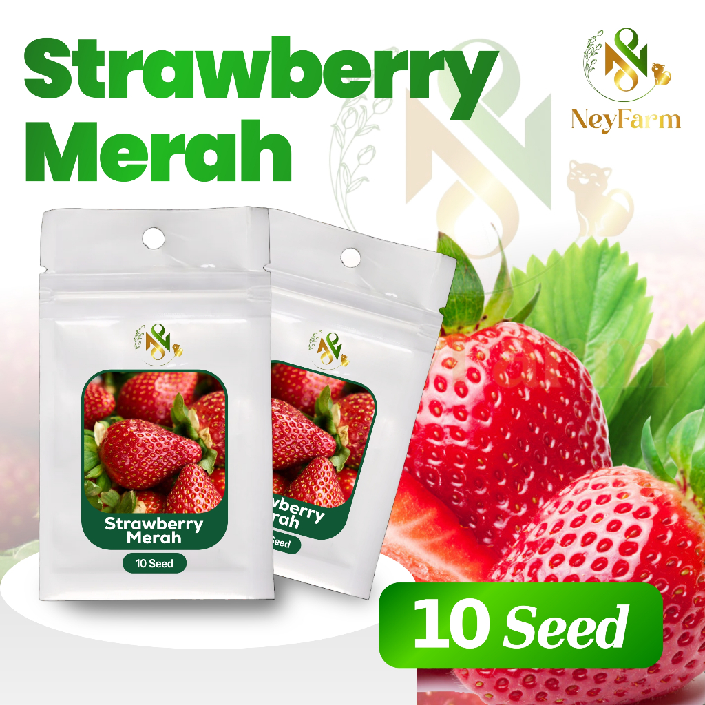 Benih Strawberry Merah Benih Biji Buah Strawberry 10 Biji Unggul
