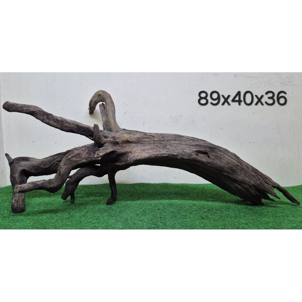 Bonggol Santigi Laut Besar 89cm Kayu Tenggelam Aquascape Aquarium Taman 89x40x36 A