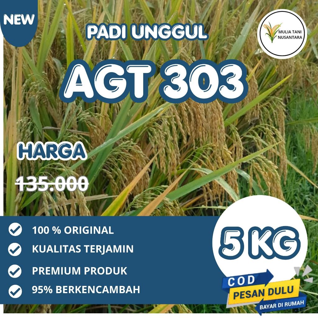 Benih Bibit Padi AGT 303/Padi Unggul 303 AGT Kemasan 5kg