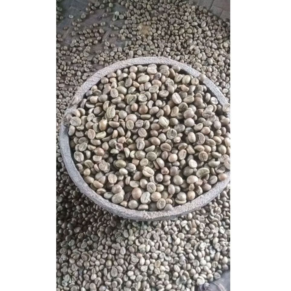 Biji Kopi Lampung, siap di Sangrai berat 500g