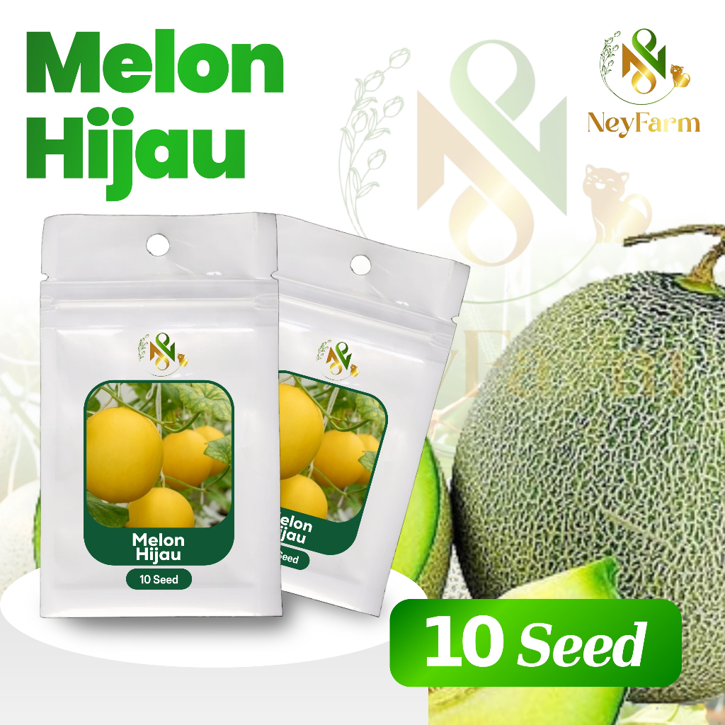 Benih Melon Biji Buah Melon Leoni 10 biji