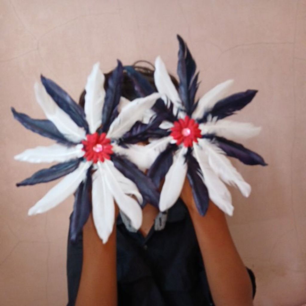 cicin bulu  tarian adat dayak