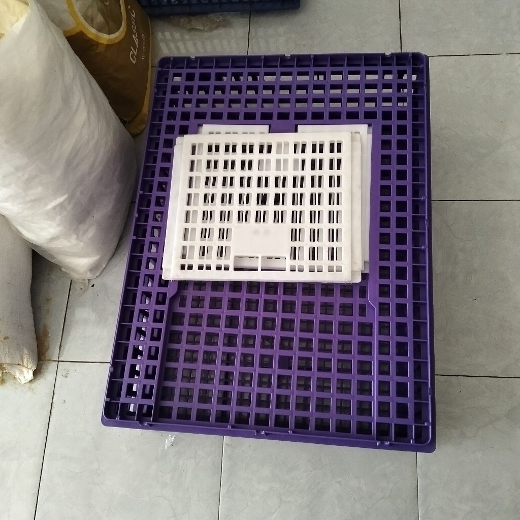 keranjang panen ayam kecil merk medion