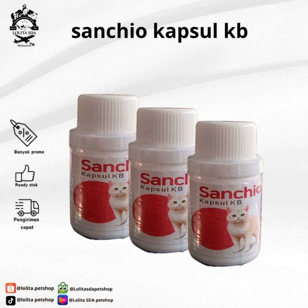 sanchio suplemen kb untuk kucing