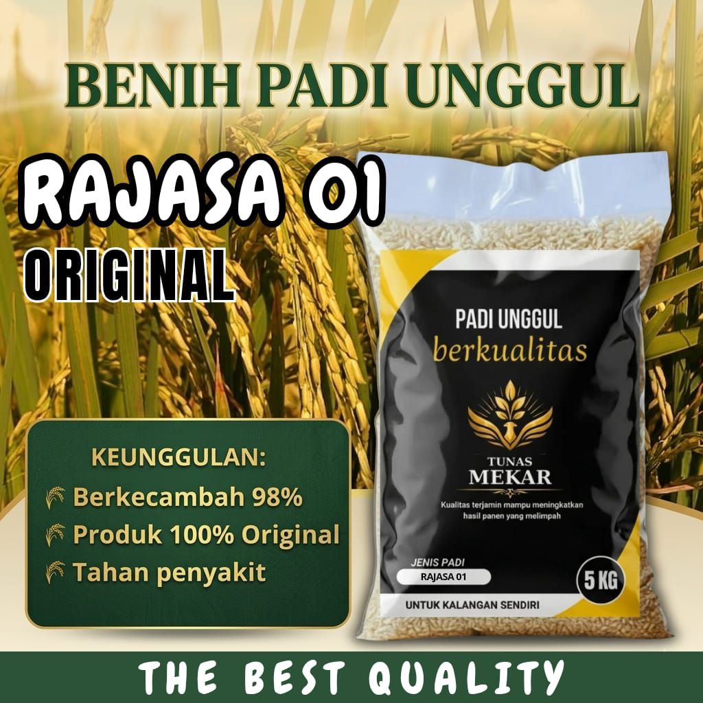 benih padi unggul RAJASA 01 original kemasan 5kg