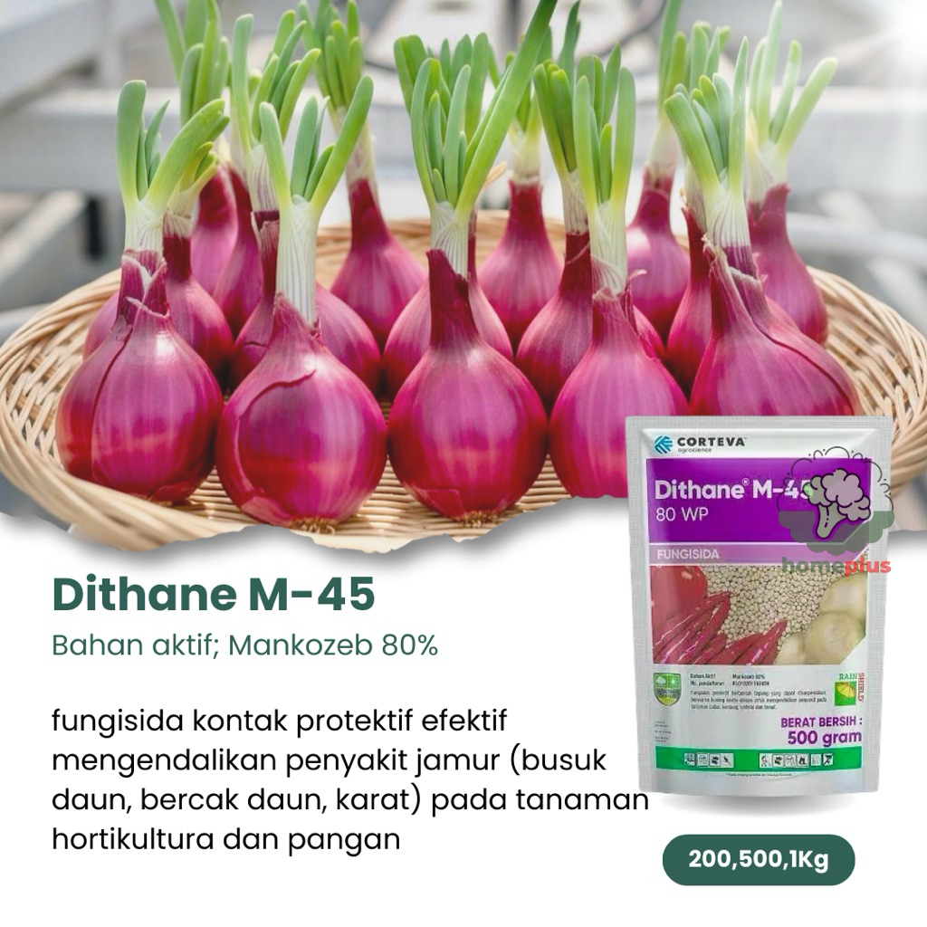 Fungisida Mankozeb Dithane Melindungi dan Mengendalikan Jamur Busuk Buah, Daun, Batang