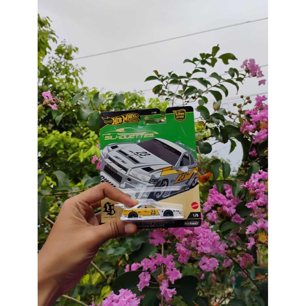 Nissan skyline r34 lbwk shilouet