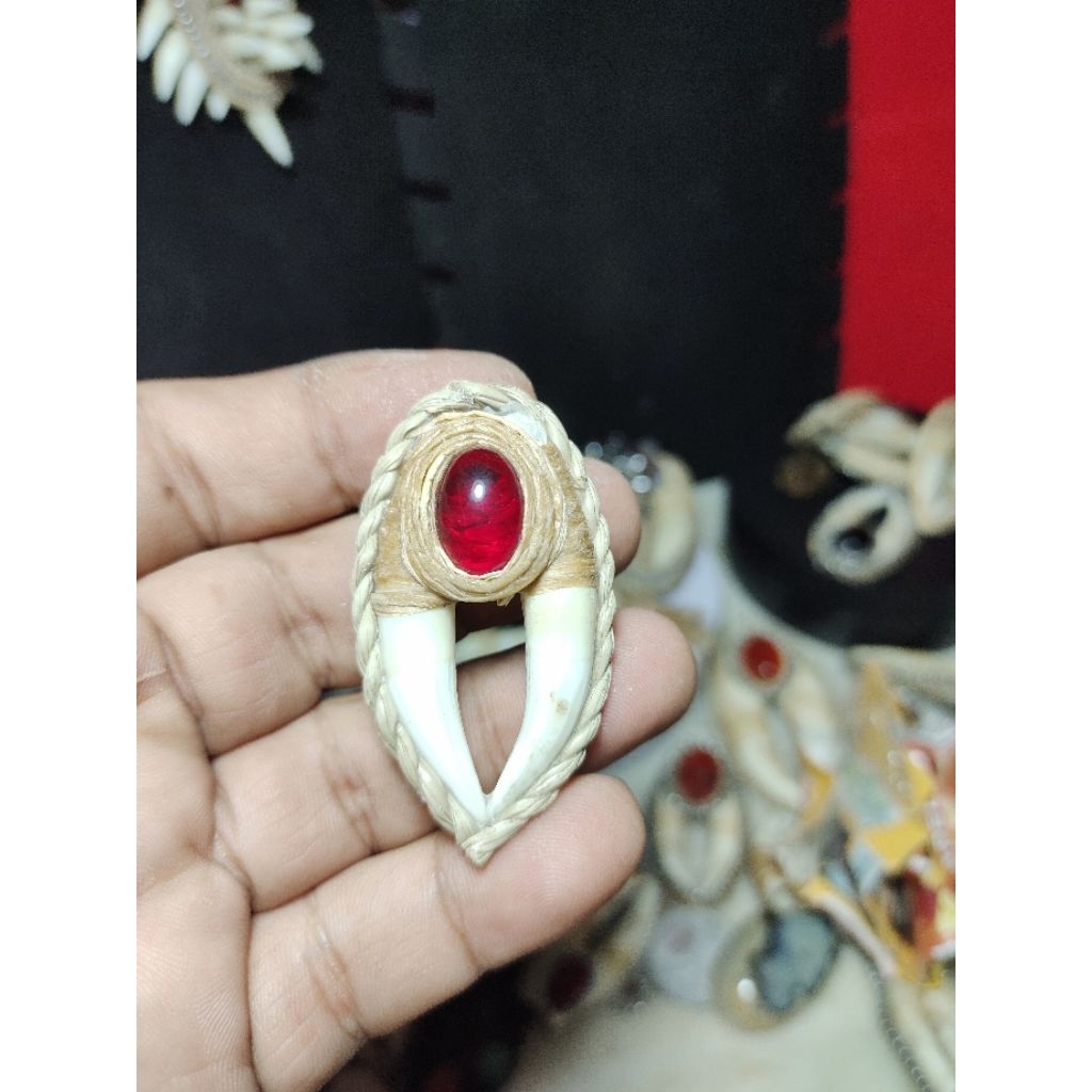 Taring Buaya Sepasang Liontin Merah Siem