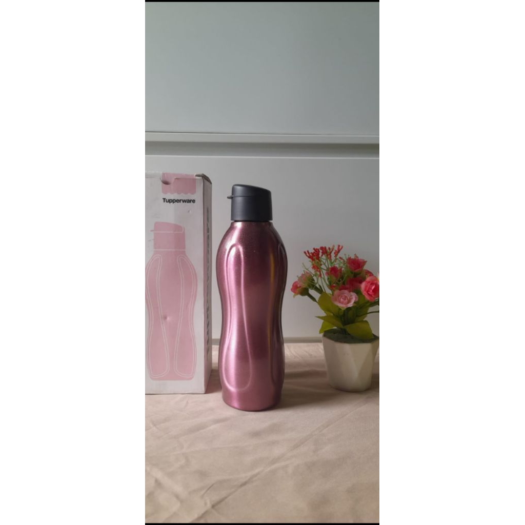 New // Eco Stainless Tupperware