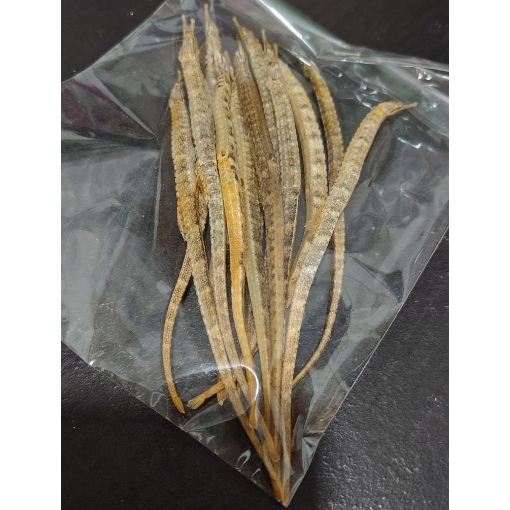 Hai long naga laut kering isi 13 pcs
