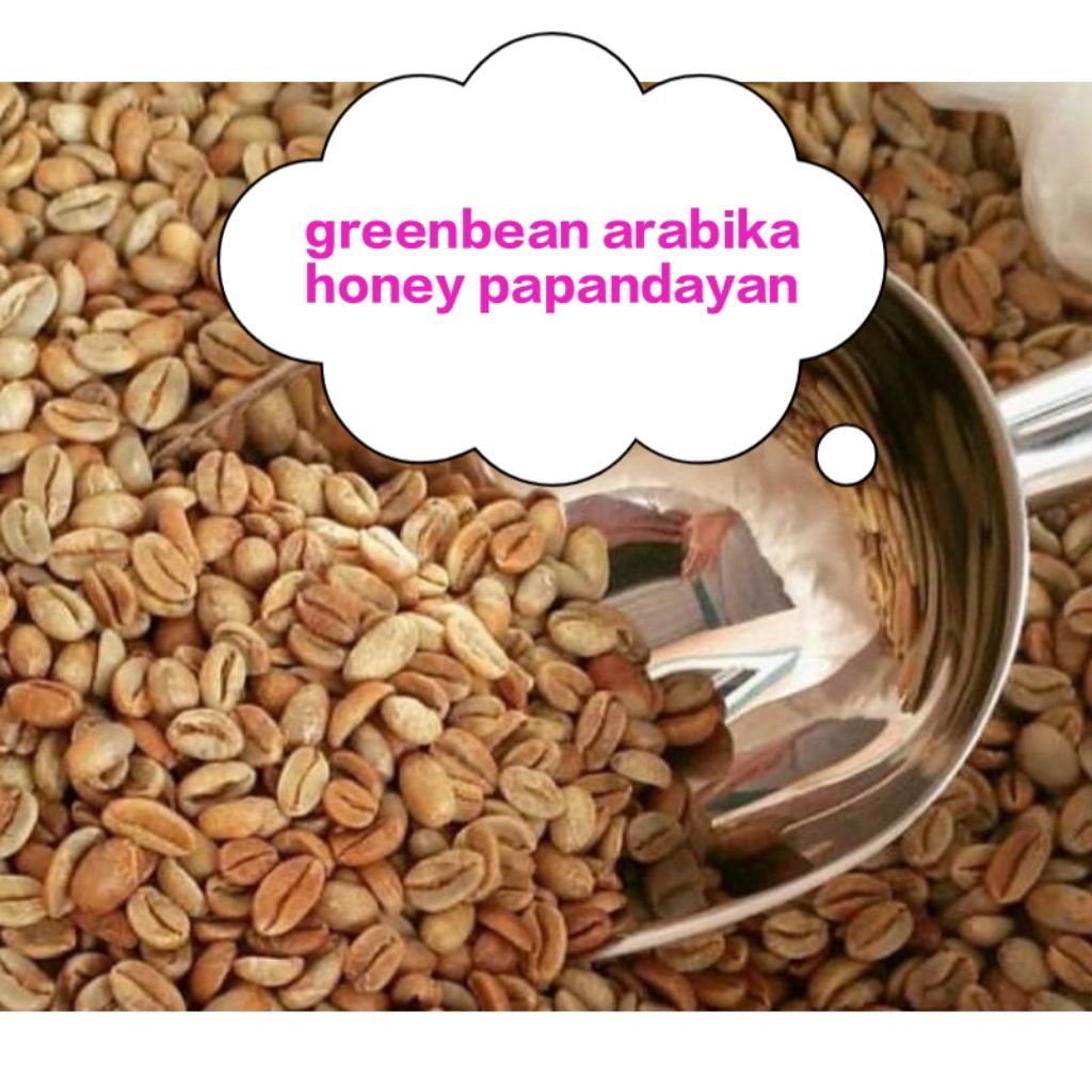 greenbean kopi arabika papandayan honey proses