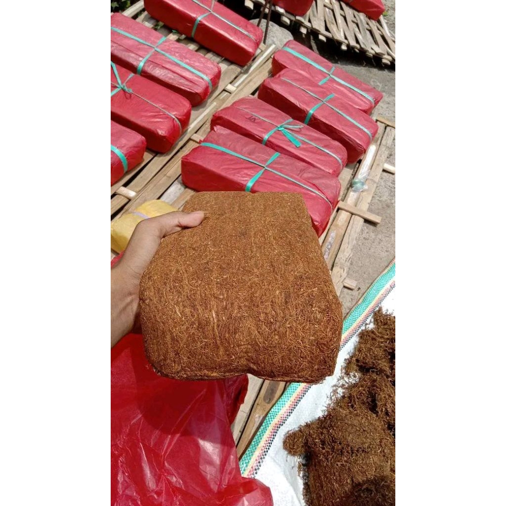 TBK tambeng original lawas krepek bukabuh