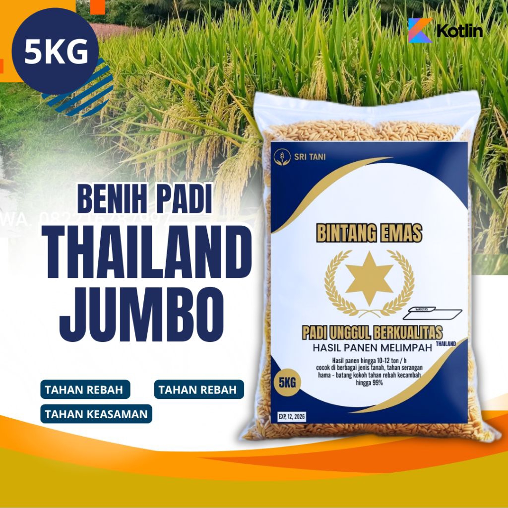 Benih padi Thailand jumbo 5kg
