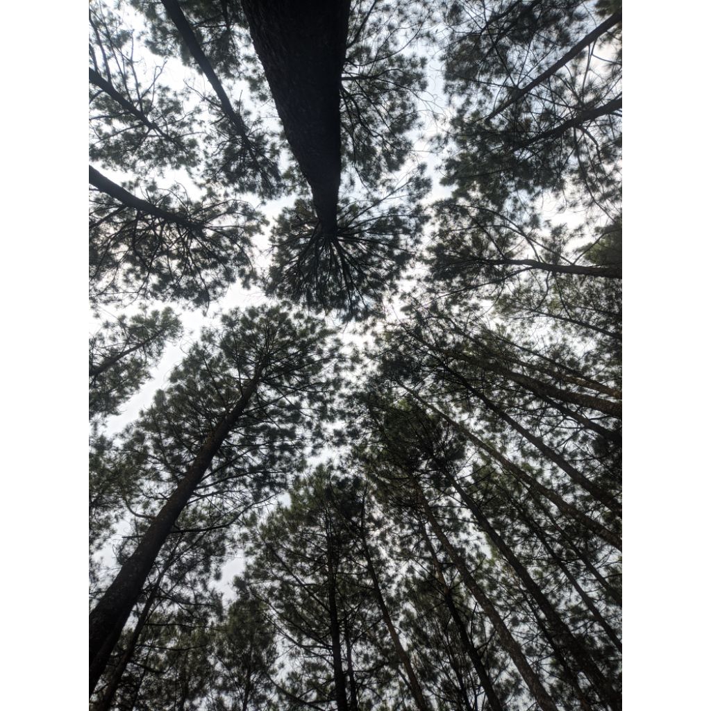 kompor listrik 1 tungku kompor listrik portabel