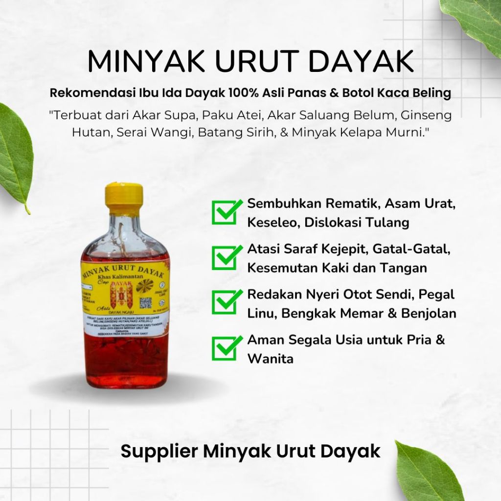 Minyak Urut Dayak Botol Kaca Besar 250 ML