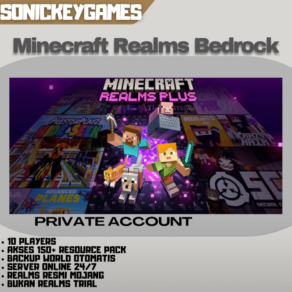 Minecraft Server Realms Plus