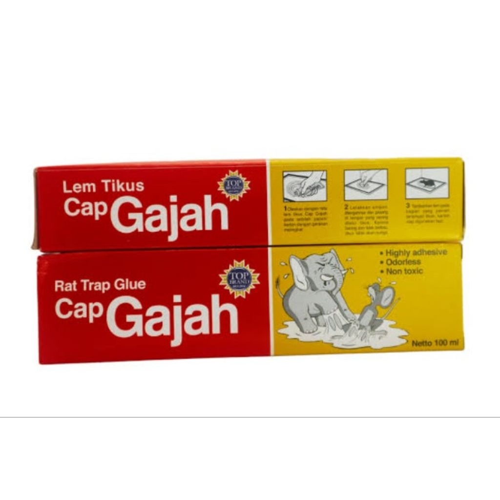 lem gajah