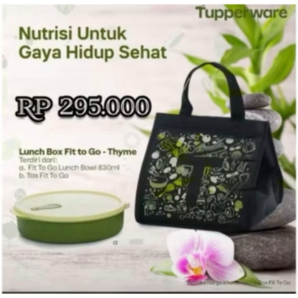 fit to go tupperware