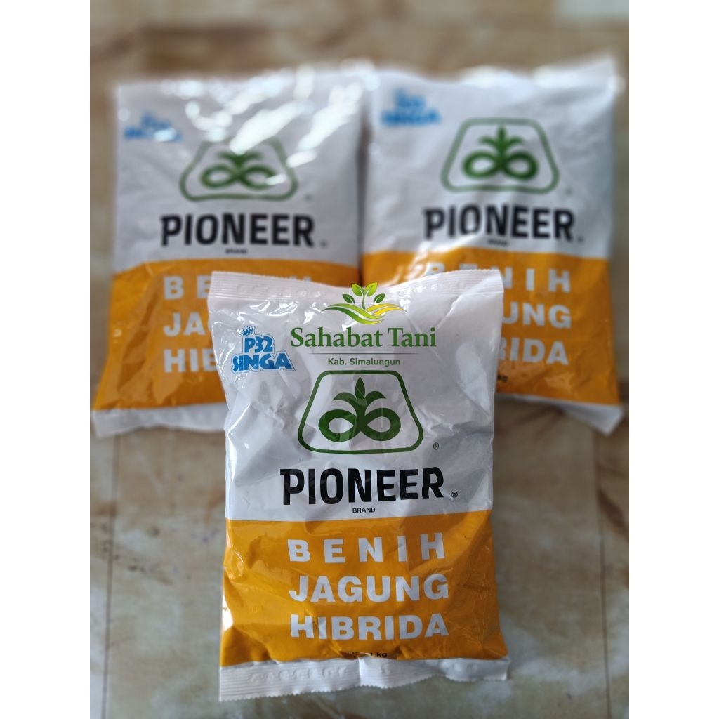 BENIH JAGUNG PIONER P32 SINGA