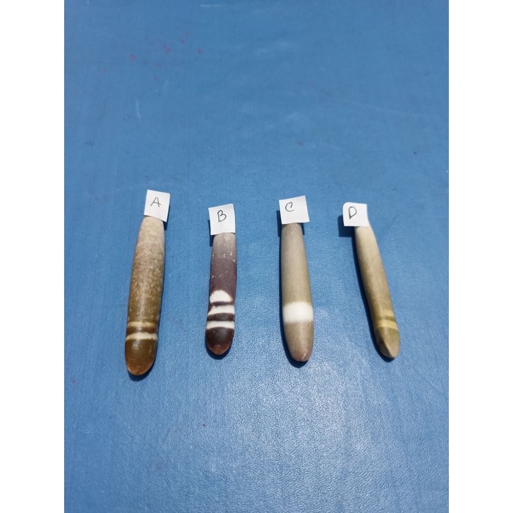 Bulu Landak Laut Membatu