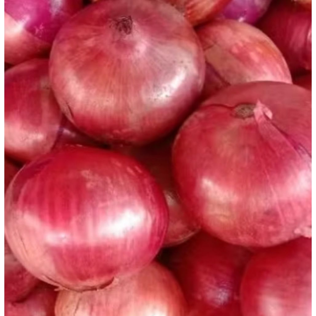Bawang Bombay Merah Red Onion 500 gram