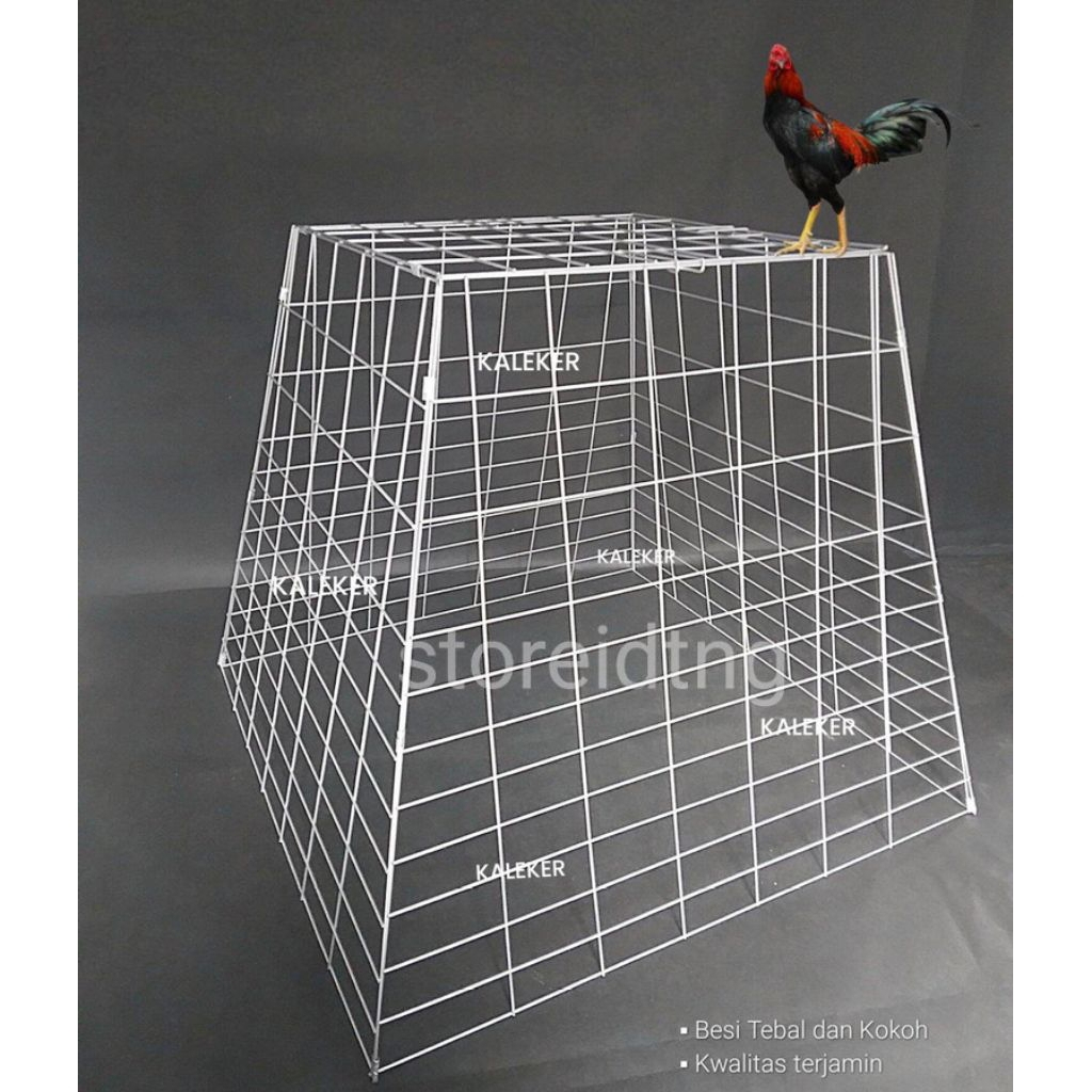 Ruji Fiber Sangkar Ayam 3mm 10 meter