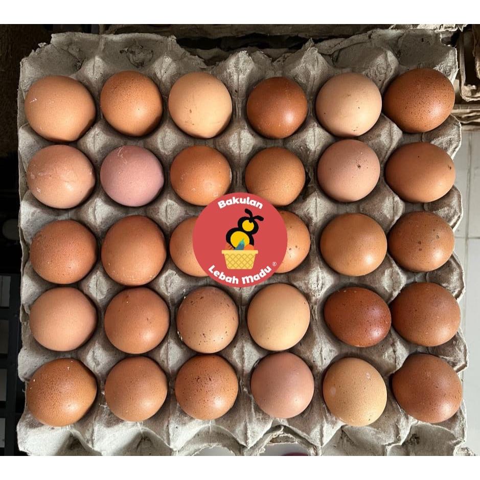 Telur Ayam Negeri 1 kg