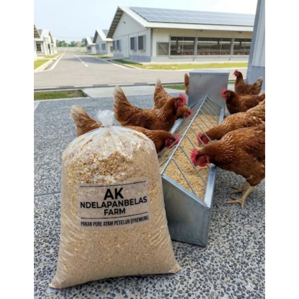 Pakan ayam petelur genta premium 200 gram untuk pakan ayam petelur