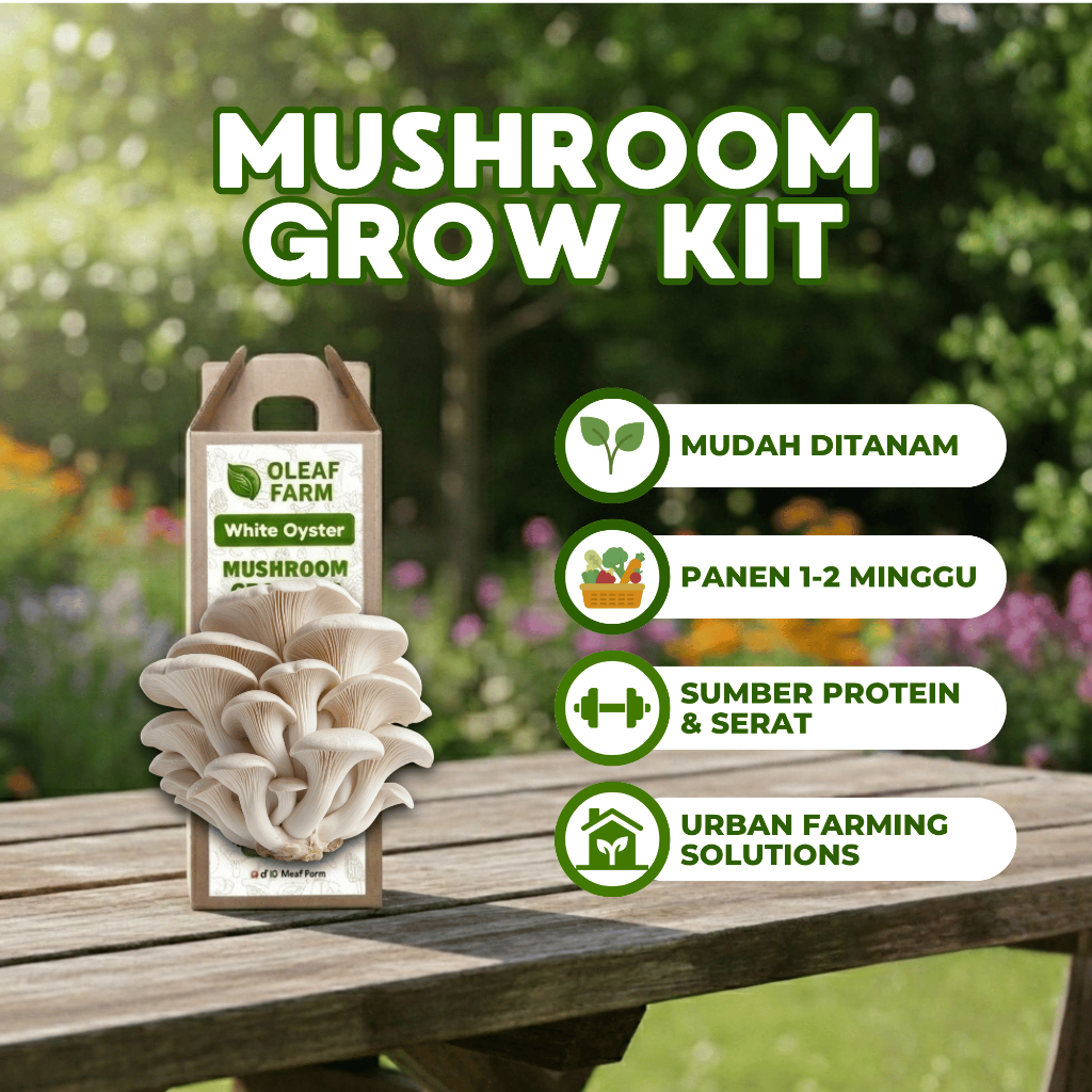 Paket Edukasi Mushroom Grow Kit Budidaya Bibit Jamur Tiram Putih Gardening Anak Pemula Kado Souvenir