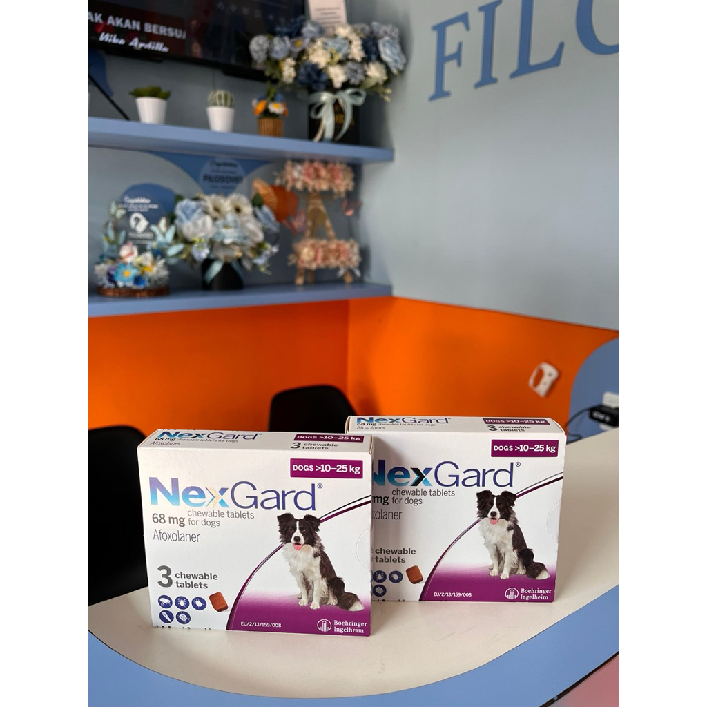 Nexgard Dog