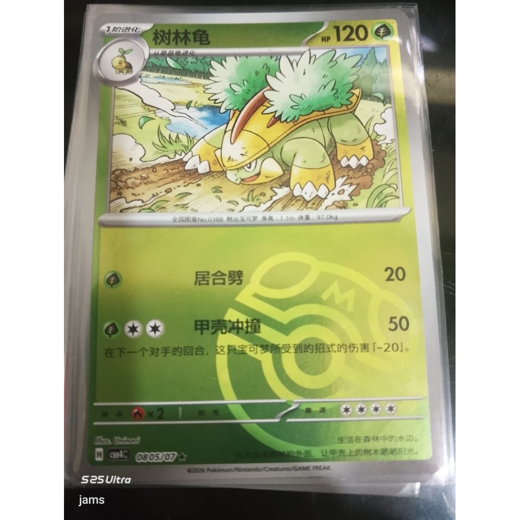 Pokemon Grotle masterball holo china