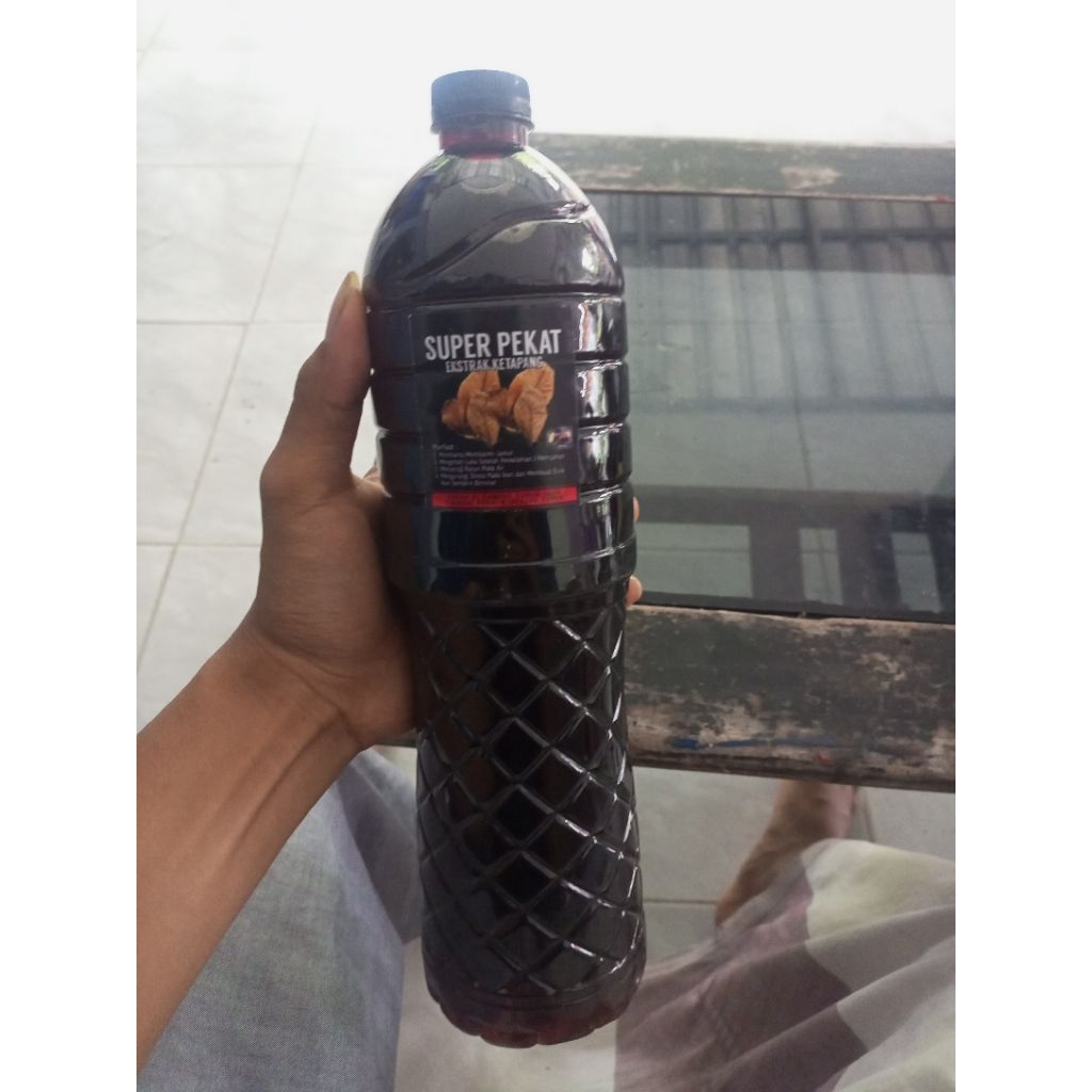 patung channa limbata babyl