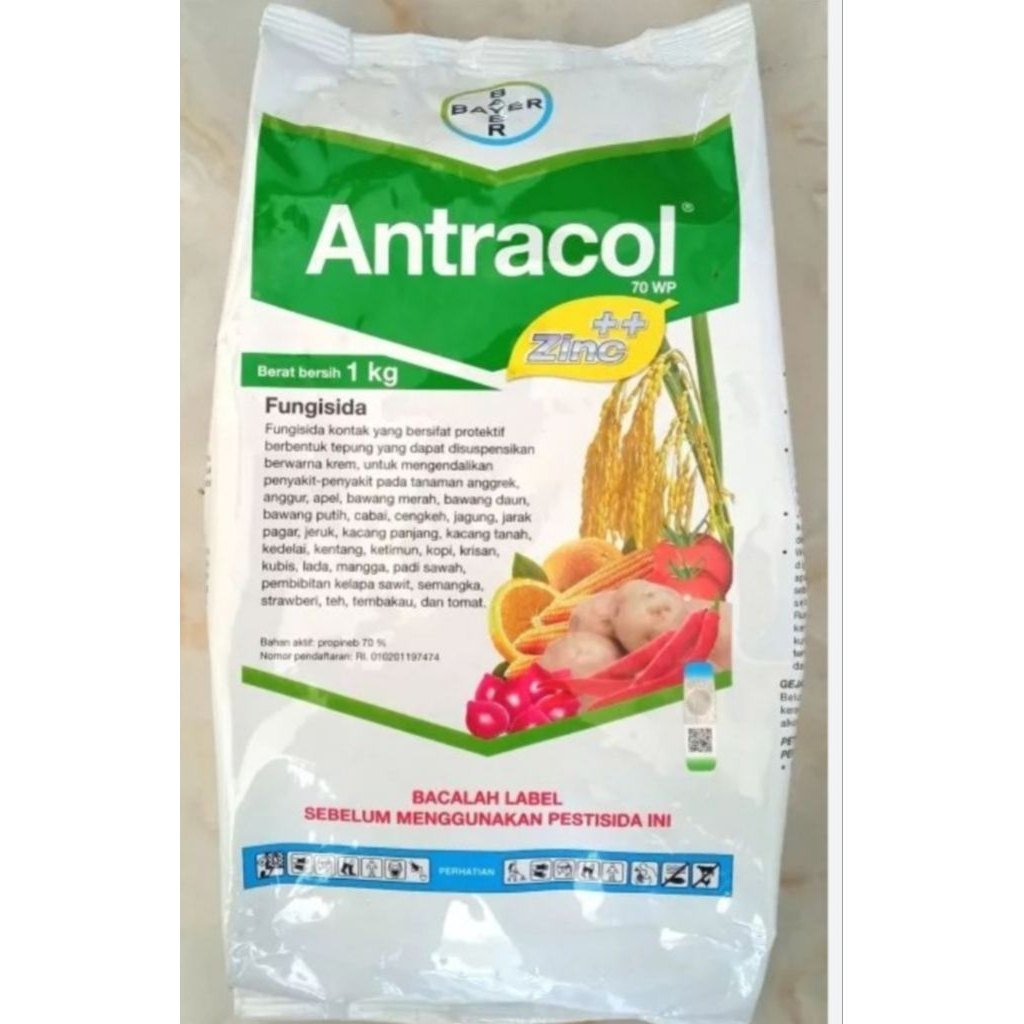 antracol 1 kg