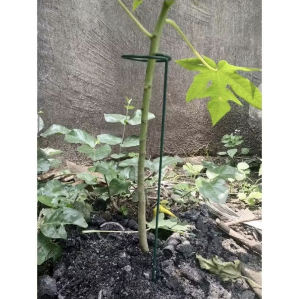 Besi Penyangga Tanaman Dan Bunga