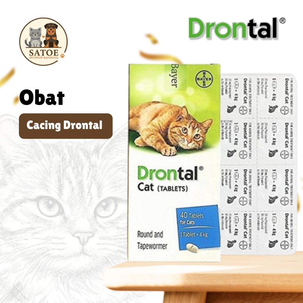 Drontal Cat | Obat Cacing Kucing | Tablet Ampuh | Obat Cacing Kucing Dewasa | Kitten