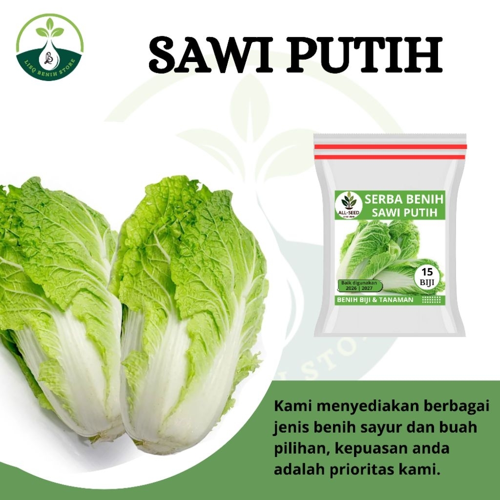 { 15 BIJI } Benih sawi putih  / bibit sawi