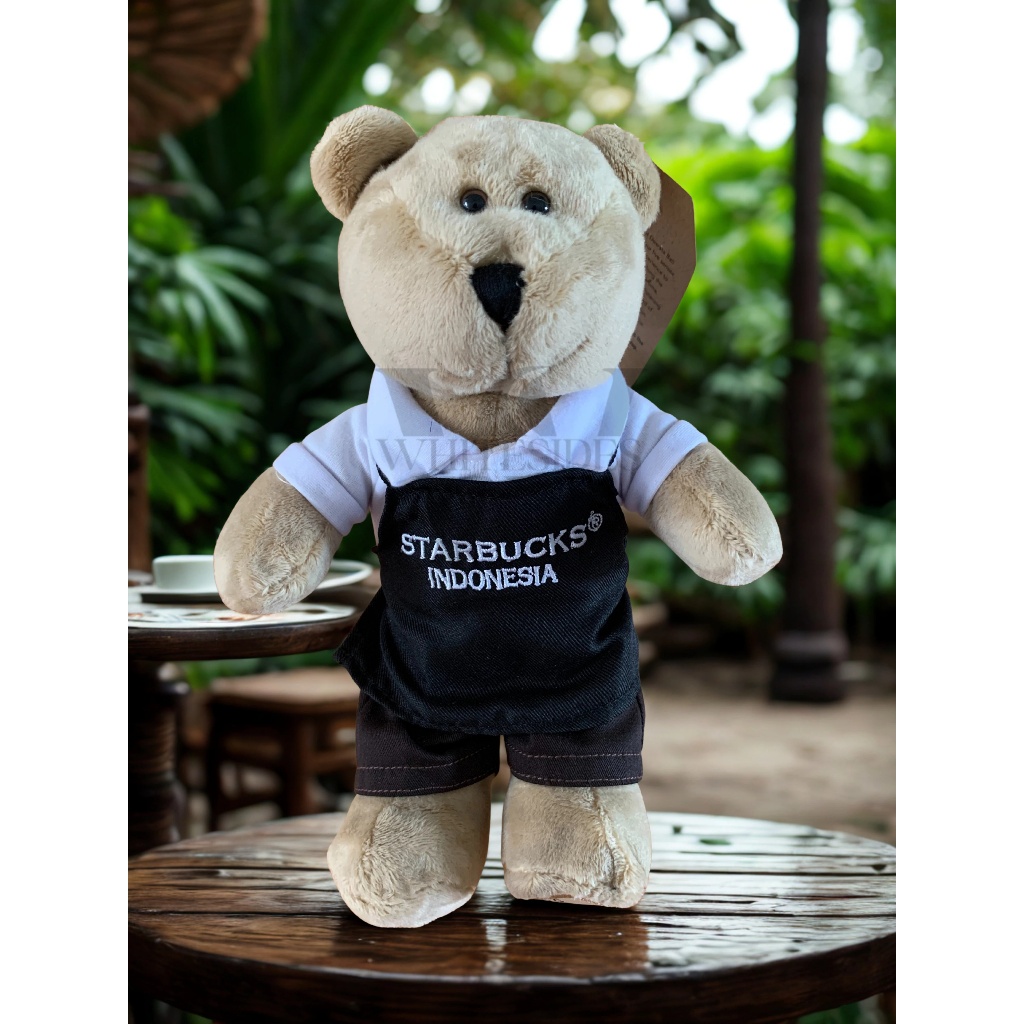 Barista Apron - Starbucks Whole Bean 250gr gram VIA Instant 12 Sticks 3 Teavana Bag Bearista Keychai