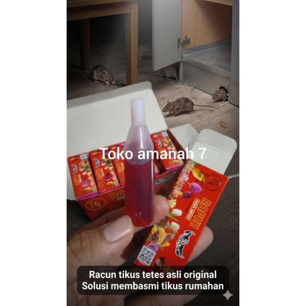 RACUN TIKUS TETES MERAH ASLI