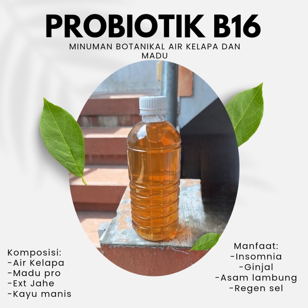 PROBIOTIK B16/G16 prof sukardi 500ML