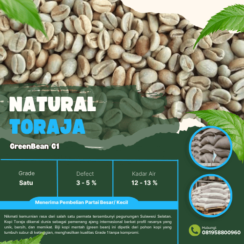Grade 1Natural Toraja Green Beans | Biji Kopi Mentah
