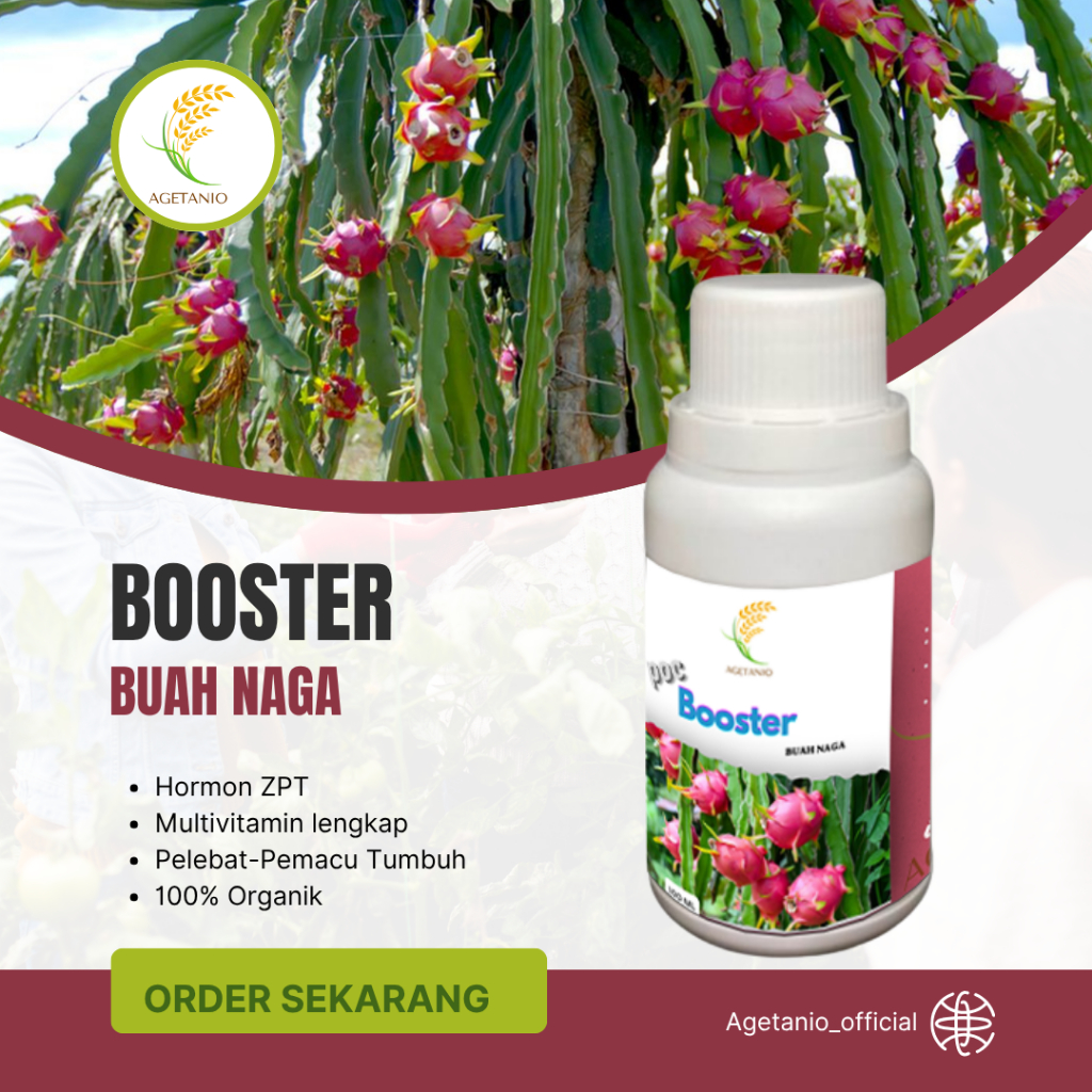 Pupuk Booster Buah Naga Pelebat Organik Cepat Berbuah Lebat 100ml murni fermentasi organik