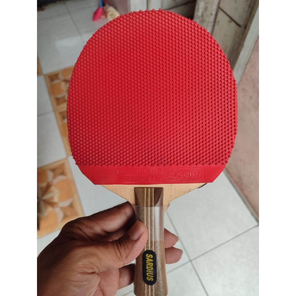 BEKAS KARET BINTIK AGRESOR PRO DR. NEUBAUER SPON 1.8 MM BEKAS KAYU SARDIUS