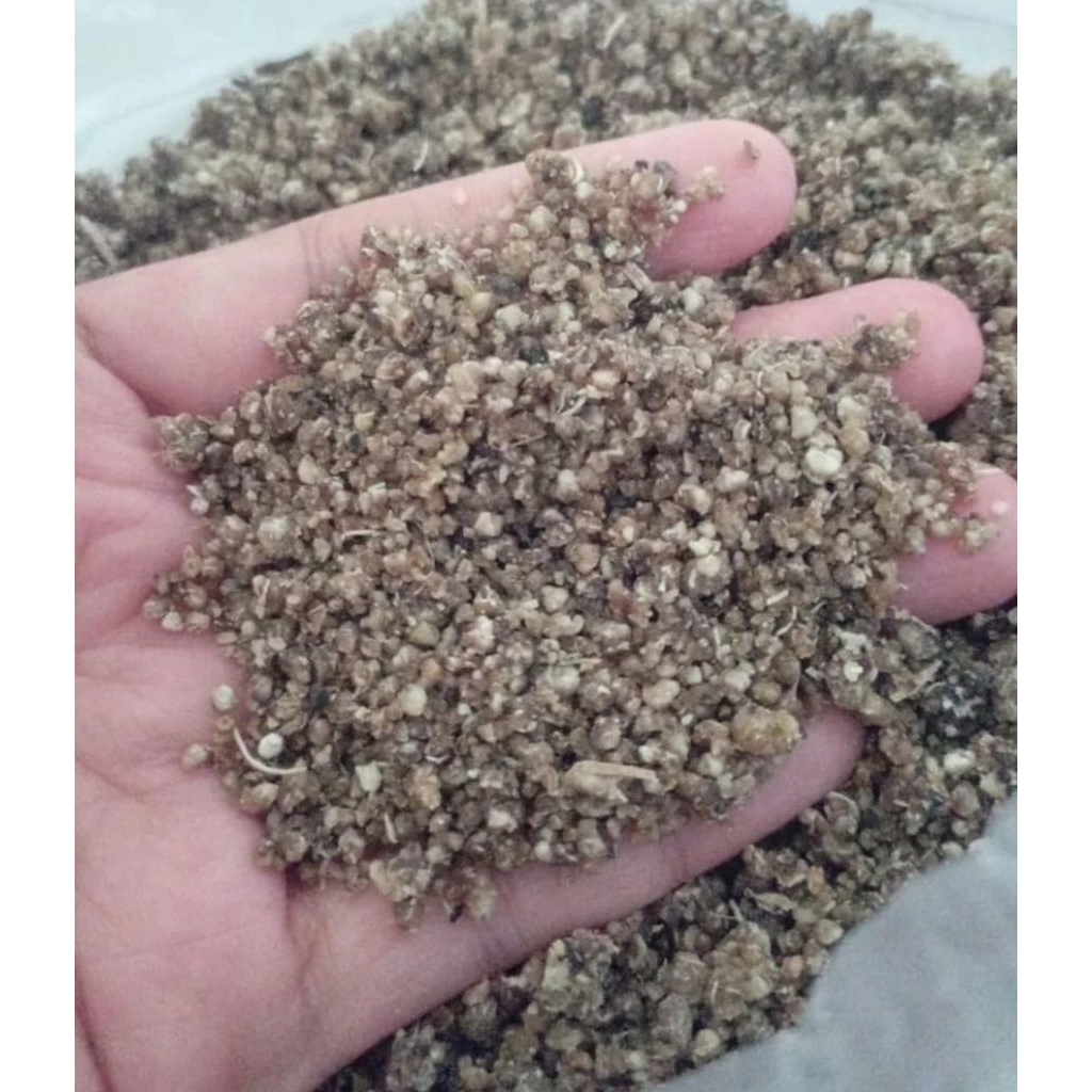 1KG TIWUL INSTAN KHAS KEDIRI SIAP SIAP MASAK