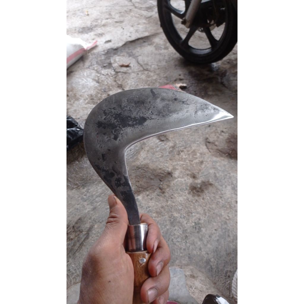 arit rumput padi garut