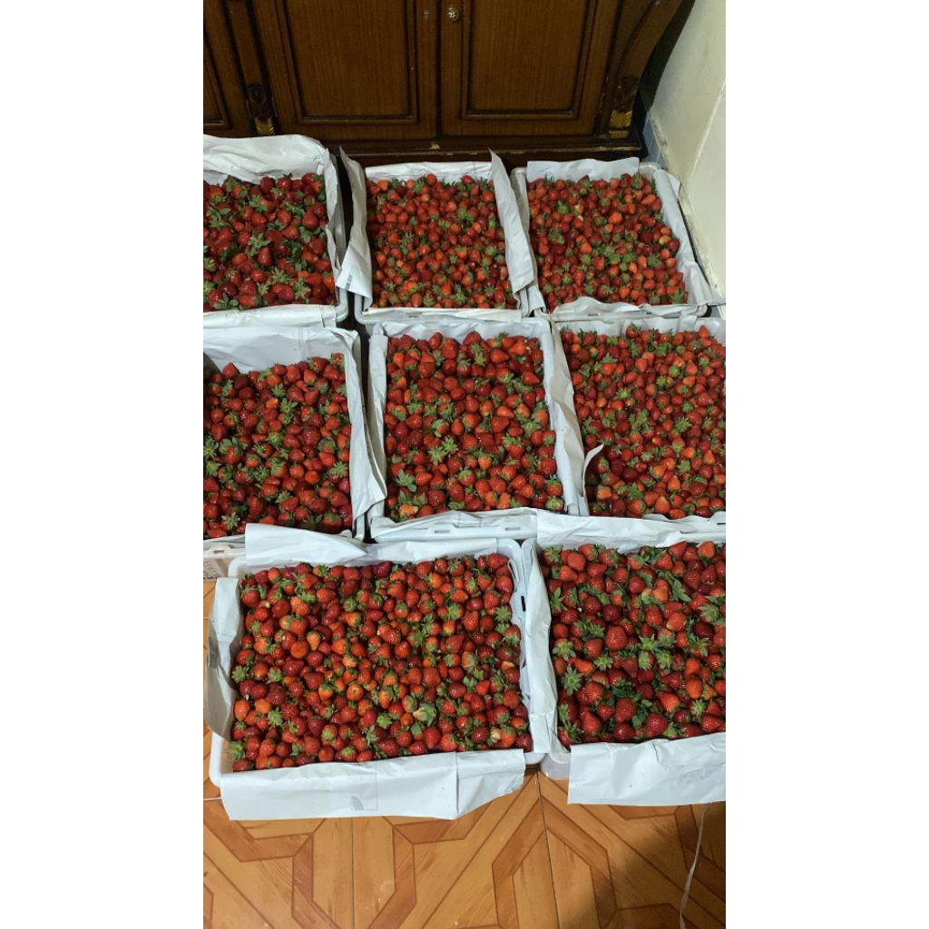 Strawberry Segar - Manis Asam, Fresh, Segar