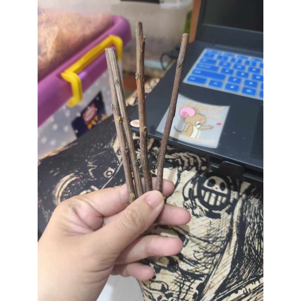 Dormice & Hamster Stick