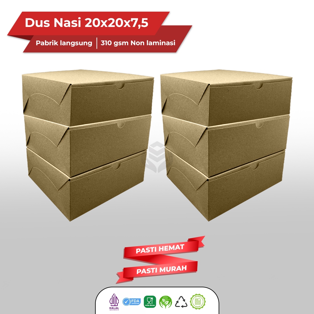Dus Nasi 20x20 Box Catering 20x20 Dus Nasi 20X20 (B5K3)