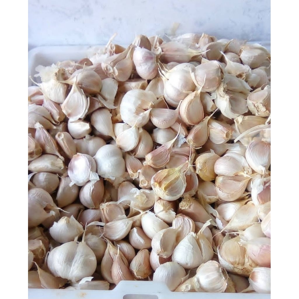 bawang putih kating 1kg