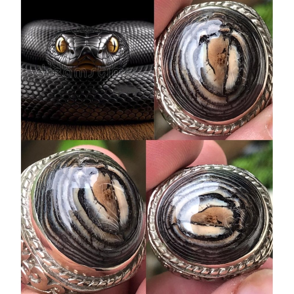 JHIPEN BLACRAC POSER MATA ULAR KING COBRA AJIB ANTIK