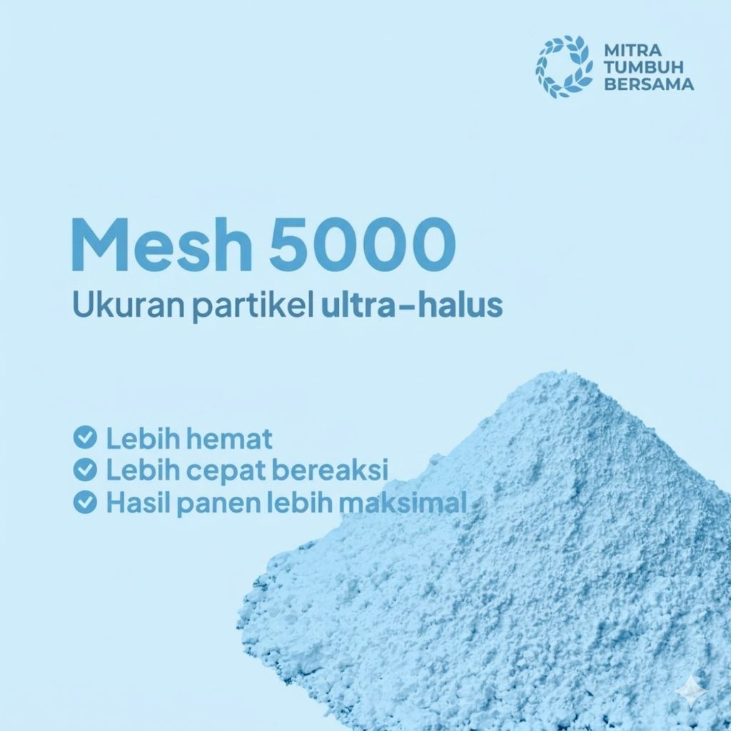 kalsium  95% mesh 5000 ultra halus calsium carbonate CaCO3 kemasan 1kg